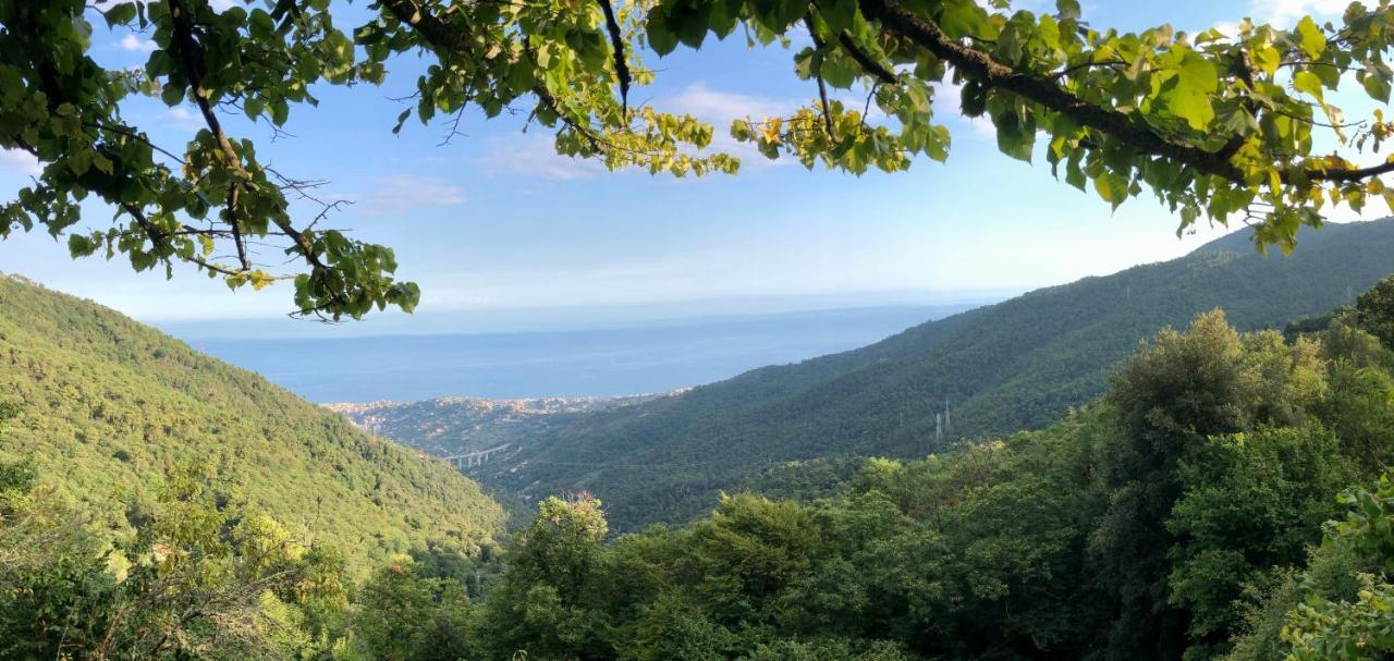 Appartamento Ai Piedi Della Pigna Sanremo Eksteriør bilde